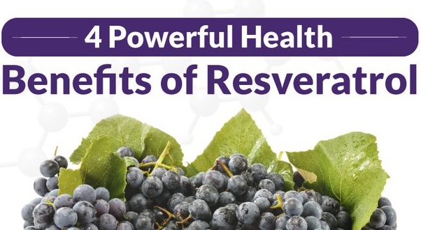 Resveratrol Health Benefits – How Can Resveratrol Help You Improve Your Health and Slow Down Aging? 
